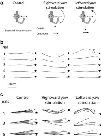 Figure 4b shows the reaching movements for the first five trials in control, rightward and leftward yaw  stimula-tion experiments in one subject