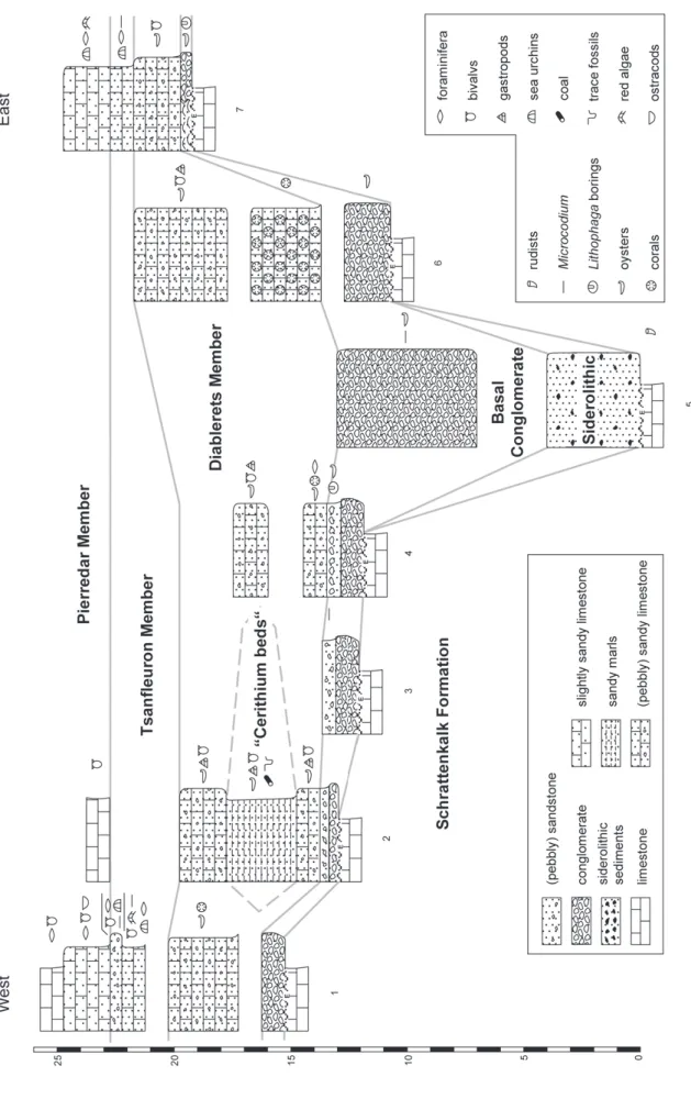 Fig. 5.Sections from the paleodoline of La Corde and their schematic correlation. Note the siderolithic sediments at the base, the lens-shaped “Cerithium Beds” inside the Diablerets Member as well as the coral (section 6) and oyster reefs (section 7).