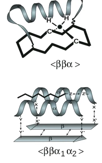 Fig. 1. Engineering of peptides: molecular kit ( α -helices, β - -sheets) for the construction of locked-in tertiary folds