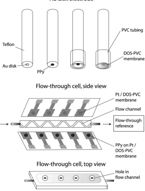 Fig. 1 Construction of solid- solid-contact ISE. Au disk electrode with PPy as SC and Pb 2+ -ISE membrane (DOS-PVC) (Top).