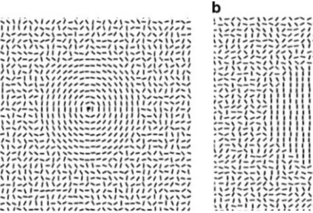 Fig. 1 Form coherence stimuli consisting of oriented line elements, a concentric, b vertical parallel, c horizontal parallel