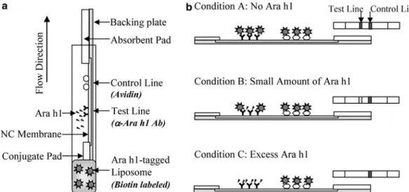Fig. 1 Competitive lateral ﬂow assay format. a Diagram of a test strip showing a side-view of its components