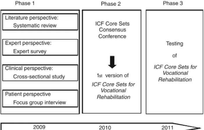 Fig. 3 Development process of the ICF Core Set for vocational rehabilitation