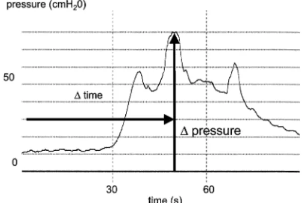 Fig. 1 Maximum pressure rise and time to maximum pressure during the ice-water test as a quotient determining the velocity of pressure, which was interpreted as the degree of positivity