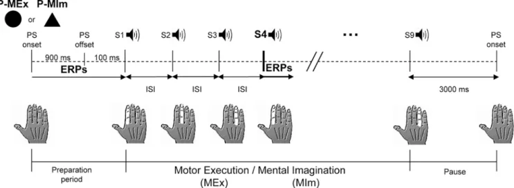 Fig. 1 Experimental paradigm (P-MEx preparation to execution, P- P-Mim preparation to imagination, PS preparatory signal, S n auditory stimuli, ISI interstimuli interval, randomly varying between 1,600