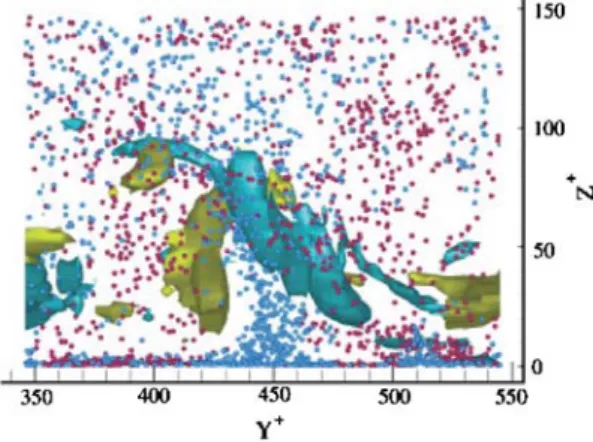 Fig. 1 Front view of particles and structures in the region of particle accumulation (reprint from Soldati [10])