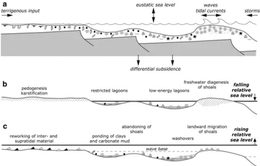 Figure 13 is a summary sketch evoking the interactions of differential subsidence, eustatic sea-level, climatically and tectonically controlled terrigenous input, and carbonate systems (coastal lakes, tidal flats, protected and open lagoons, barriers; cora