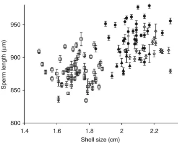 Fig. 1). The interindividual variation in mean sperm length (CV) was similar for all populations: Gurnigel 2.5%