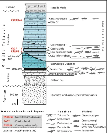 Fig. 2 Stratigraphic section of the Middle Triassic sediments in the Monte San Giorgio area with the main vertebrate-bearing levels (modified and updated from Furrer 1995)