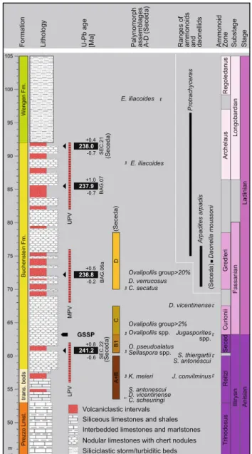 Fig. 3 Simplified stratigraphic log of Bagolino section (GSSP for the base of the Ladinian Stage) with U–Pb-zircon ages (BAG samples;