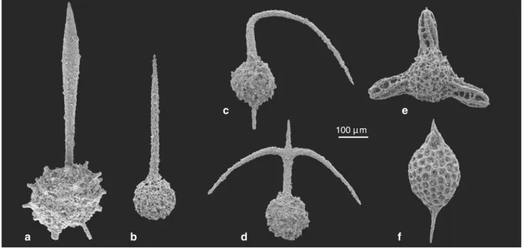 Fig. 6 Selected radiolarians from the San Giorgio Dolomite, E. curionii Amm. Zone, Fassanian (early Ladinian), Val Porina.