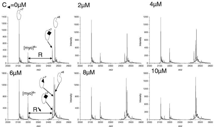 Figure 5. NanoESI spectra obtained for the competitive binding assay using the noncovalent complex NCoA-1(6 ␮M):peptide (2) (20 ␮M) as probe and increasing concentration of peptide (1) (0 –10 ␮M)