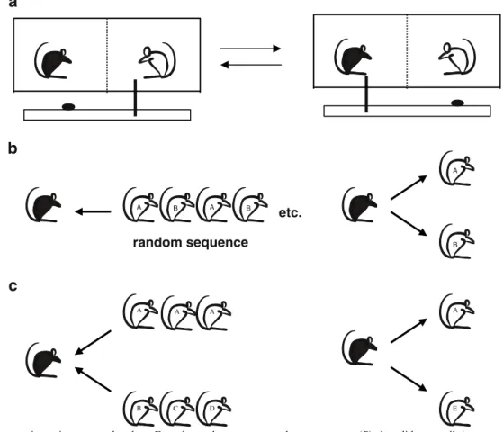 Fig. 1 Rats cooperate in an instrumental task. a Experimental setup and pre-experimental training