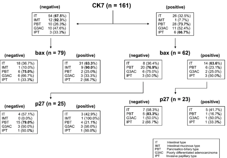 Table 4 Amplification of oncogenes Oncogene Amplification