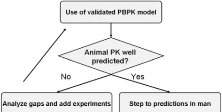 Table I summarizes the simulation parameters that were used. As the estimation of the in vivo solubility is critical, R1315 was also dissolved in artificial intestinal fluids (35,36) to obtain experimental values
