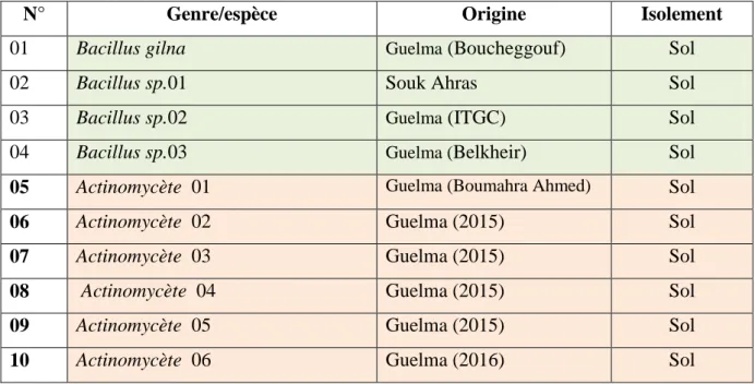 Tableau 03 : Origines des souches bactériennes testées pour leur activité   antagoniste vis-à-vis de Zymoseptoria tritici 