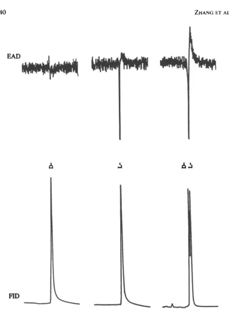 FIG. 2. Partial, reconstructed simultaneous responses from FID and BAG detection using an antenna of male P