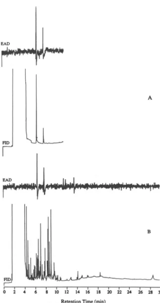 FIG. 1. Reconstructed simultaneous responses of flame ionization detection (FID) and electroanntennographic detection (EAD; antenna of male P