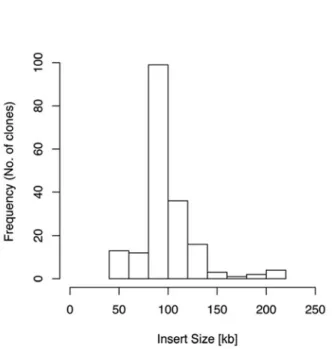 Figure 1. Histogram of insert size distribution of BAC clones (n = 186) of the bumblebee BAC-library.