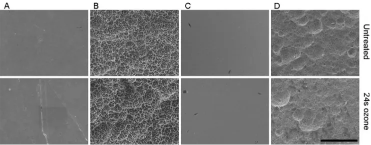 Fig. 3 Representative scanning electron micrographs showing the surface roughness of untreated materials (top row) and surfaces treated by ozone for 24 s (bottom row)