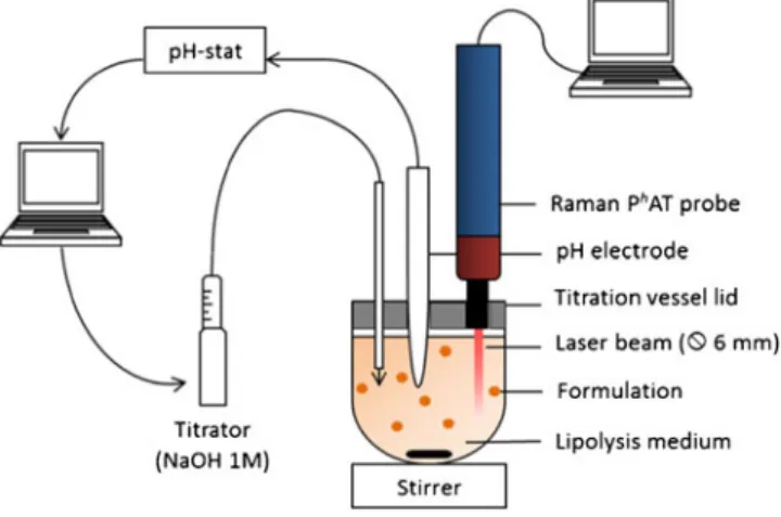 Fig. 1 Experimental setup of the in vitro lipolysis test combined with Raman spectroscopy