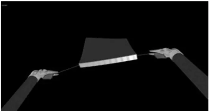 Fig. 2   Virtual reality view used in the tool-use task in experiment 1.  