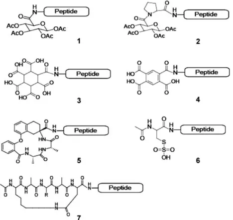 Fig. 1. N-cap candidates in their peptide-conjugated form.