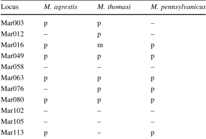 Table 2 Results of cross-species amplifications with the newly developed primers for the two European species M