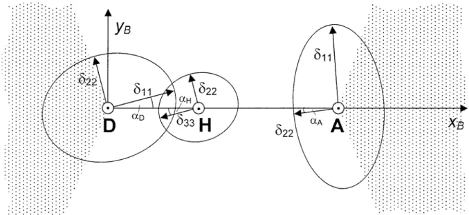 Figure 2. Orientations of the principal components δ ii of the chemical shift anisotropy (CSA) tensors of the donor nitrogen D, the imino proton H and the acceptor nitrogen A under the simplifying assumption of collinearity