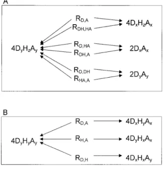 Figure 5. Cross-correlation pathways (A) starting from the DQ/ZQ coherence 4D y H z A y and (B) from the TQ/SQ coherence 4D y H y A y 