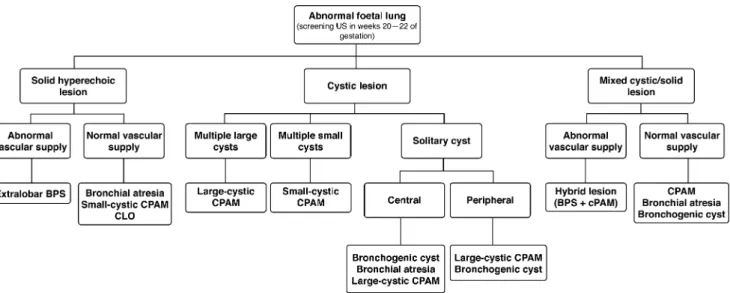 Fig. 2 Algorithm for follow-up of any prenatally detected lung lesions