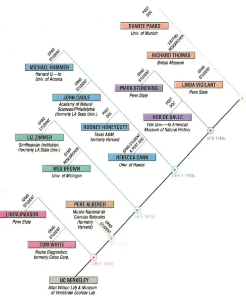 Figure 5. ‘Family tree’ of the Allan Wilson laboratory at the University of Califor- Califor-nia, Berkeley, for its 25th anniversary; from Gibbons, Ann