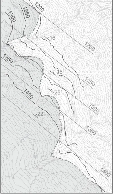 Fig. 6.  Detail of geological map with contour lines of the riedboden thrust  suggesting that the thrust corresponds to a straight, 16–25° NE-dipping plane
