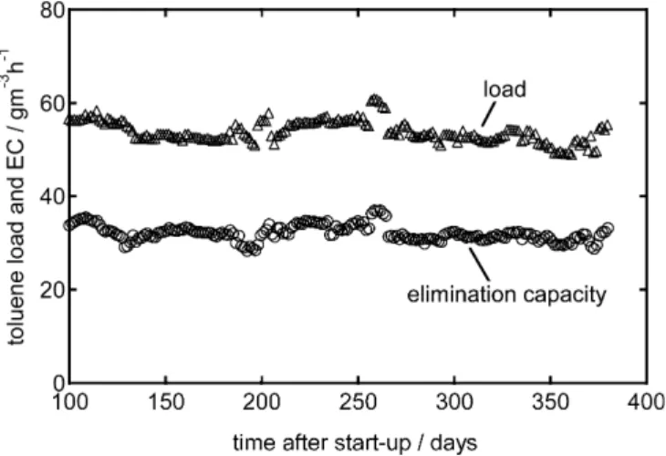 Fig. 5 Bioﬁlm grown on the discs 11 months after inoculation