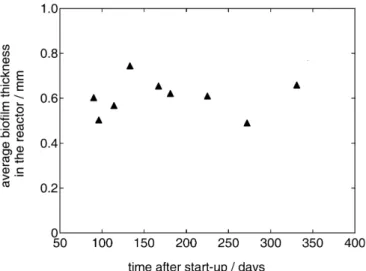 Fig. 8 Average bioﬁlm thickness in the modiﬁed RBC vs time after start-up