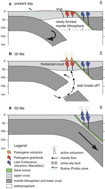 Fig. 10 East–West profile sketches illustrating the migration of magmatism from the upper plate (Tisza-Dacia and Rhodopes) into the lower plate (present-day Dinarides due to delamination of the lower plate (Adriatic) lithospheric mantle, possibly associate