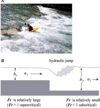 Fig. 1 a Picture example of a non-uniform open-channel flow in a stream (Tiroler Achen, Tirol, Austria) (photo by Anna Sukhodolova).