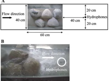 Fig. 4 Improvement of the signal-to-noise by usage of two hydro- hydro-phones (see text for details)