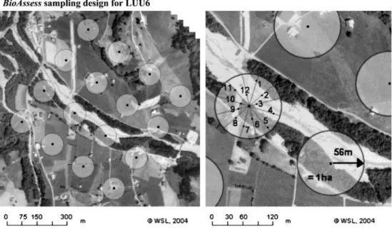 Figure 4 The collection of lichen on trees, rocks and soil using frequency ladders and grids