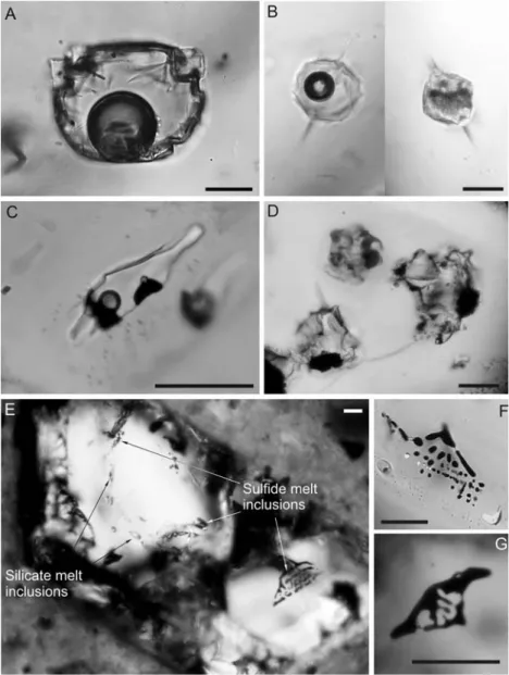 Fig. 3 Microphotographs of silicate and sulﬁde melt inclusions in various host phases