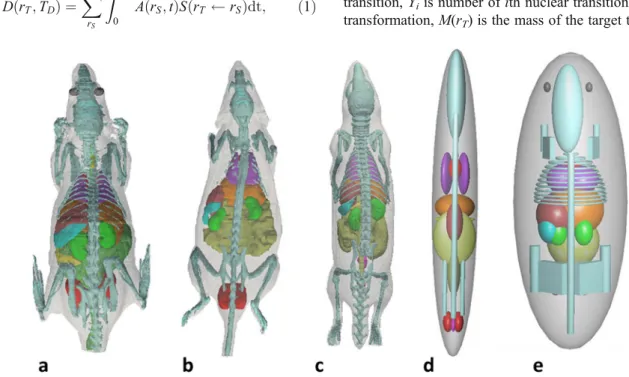 Fig. 1. 3D dorsal views of the various anatomical rat models: a HUST-VRat1 [23], b UFP-Rat [22], c ROBY [18], d Tyco-Rat [15], and e HUST-SRat [25].