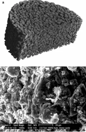 Figure 1b shows a 1,0009 magnified image of a single aggregate of the same soil using an environmental scanning electron microscope