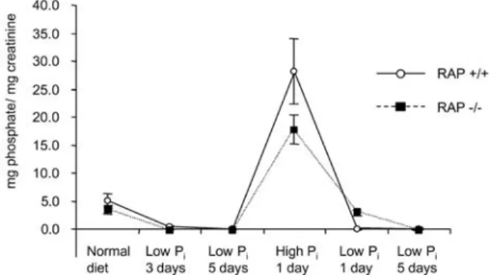 Fig. 8 Urinary phosphate excretion in response to different diets rich or low in phosphate