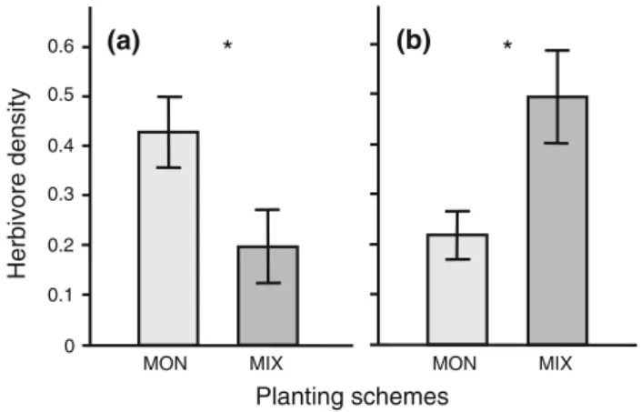 Fig. 2 Densities (mean ± SE) of a Walterianella inscripta beetles and b Eulepte gastralis caterpillars on the host tree Tabebuia rosea growing in monocultures (MON), and in 3-species mixed stands (MIX)