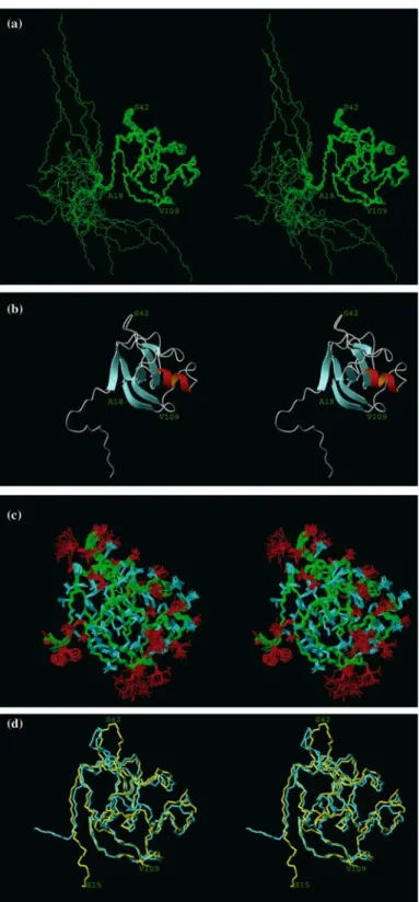 Figure 2. The NMR structure of gpD shown with stereoviews. (a) Superposition of the 20 conformers of the NMR solution structure of gpD ﬁtted for minimal RMSD of the backbone atoms of residues 19–109