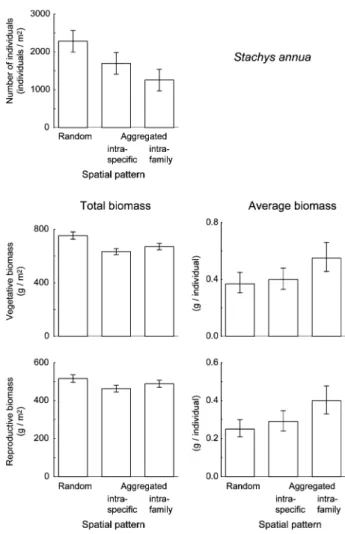 Fig. 3 Number of Stachys annua individuals (top), total (left, g/m 2 ) and average (right, g per individual) aboveground vegetative (middle) and reproductive (bottom) biomass grown in random, intraspecific or intrafamily aggregated spatial patterns
