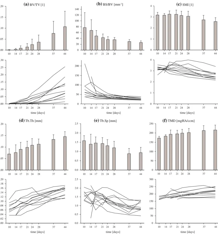FIGURE 3. Results from full morphometric lCT analysis. Pooled (top) and individual (bottom) data from 11 samples: (a) bone volume density, (b) bone surface-to-volume ratio, (c) structure model index, (d) trabecular thickness, (e) trabecular spacing, and (f