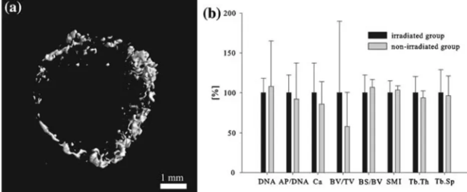 FIGURE 4. Effect of lCT imaging on cell performance. (a) Mineralized tissue volume of a formerly non-irradiated control sample at day 28 as imaged using lCT