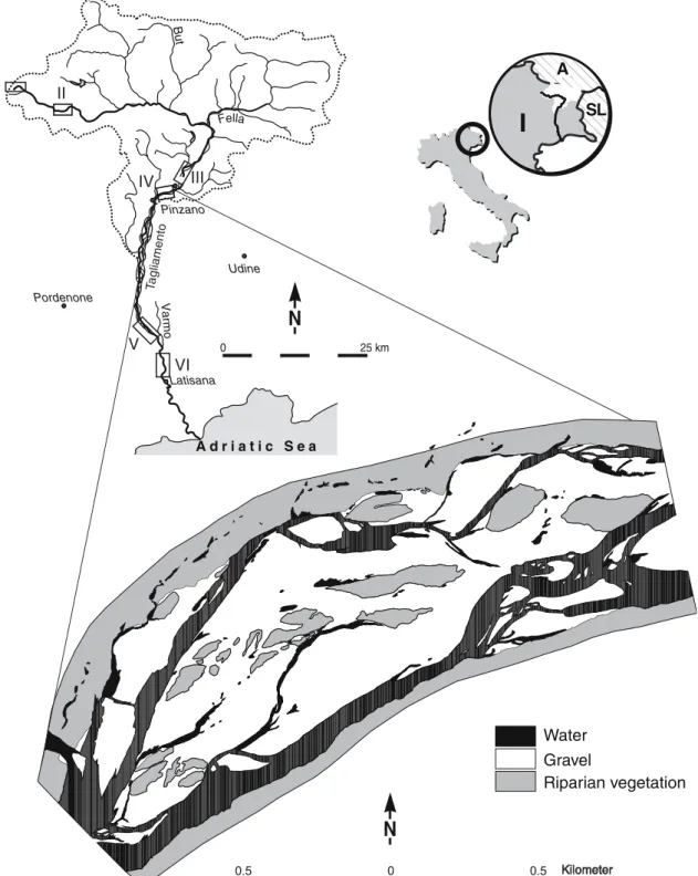Figure 1. Tagliamento catchment, locations of study reaches I–VI, and map of the main study area (Reach IV; mapping date: May 2000)