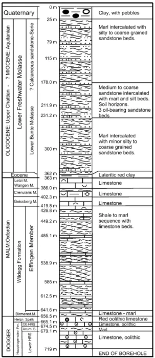 Fig. 2 Geological profile of the Oftringen borehole (simplified after Albert and Bla¨si 2008)